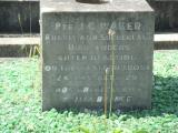 image of grave number 730770